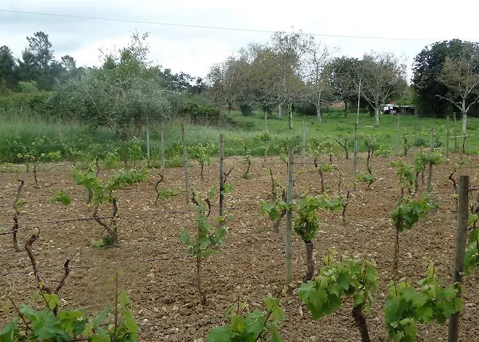 Hotel Casa Nana Cadima